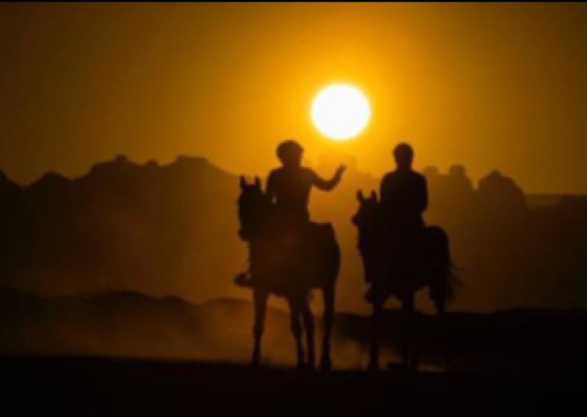 Documentary